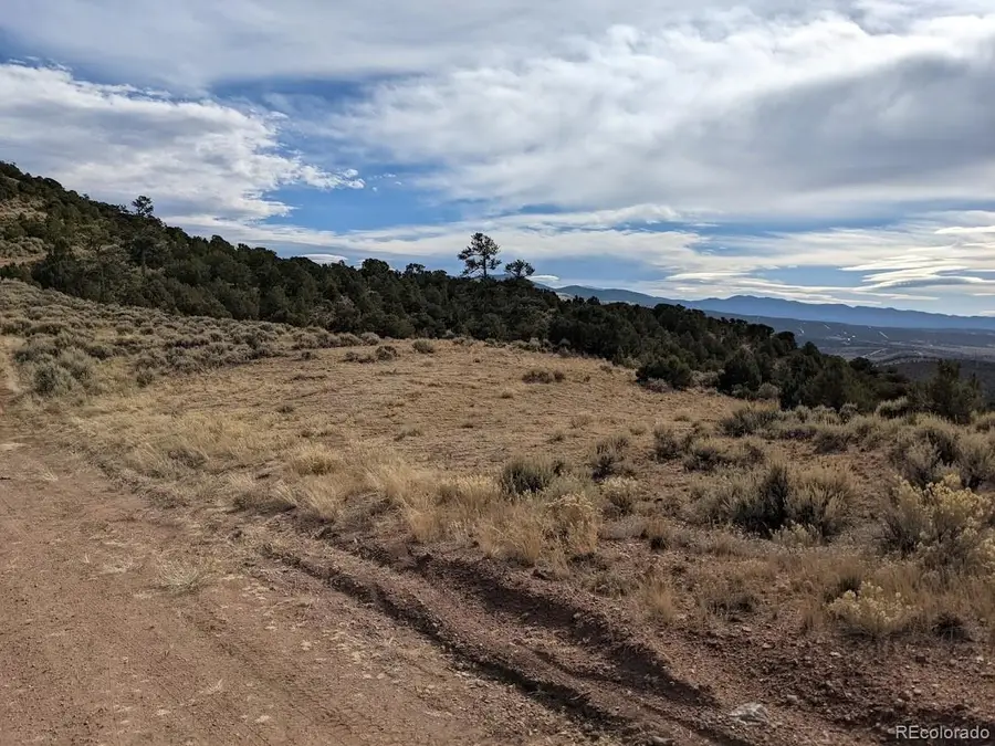 4389 Beekman Road, Fort Garland, CO 81133 - #2