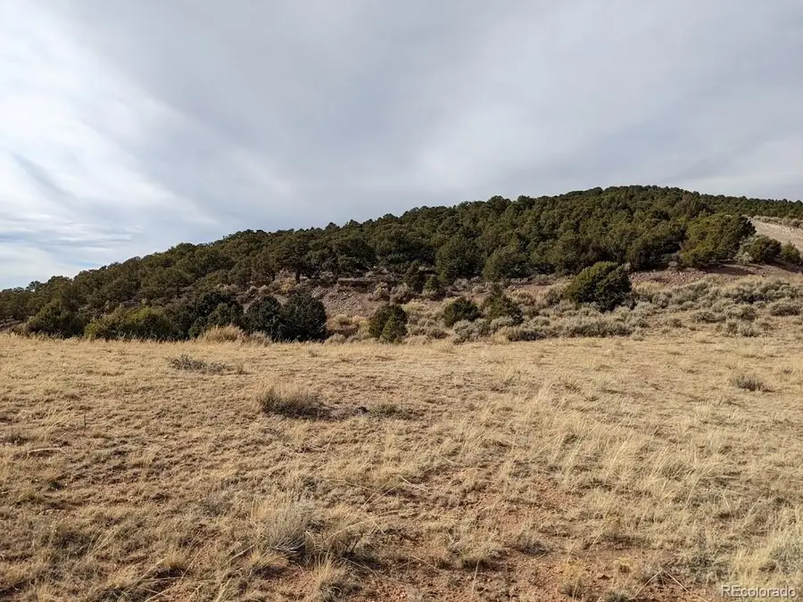 4389 Beekman Road, Fort Garland, CO 81133 - #3