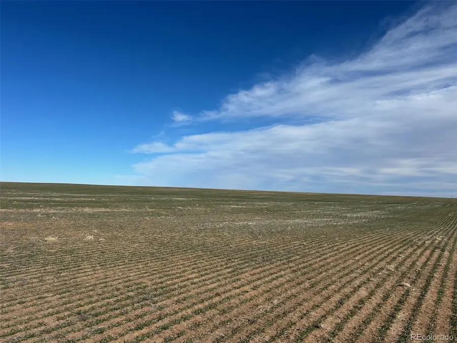 County Road 46, Calhan, CO 80835 - Image #3