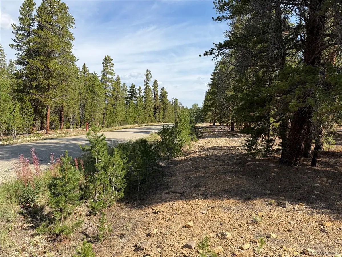 1796 Autumn Drive, Leadville, CO 80461 - #1