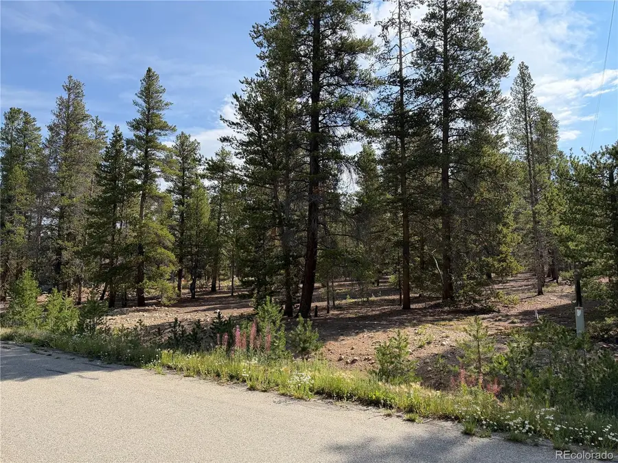 1796 Autumn Drive, Leadville, CO 80461 - #2