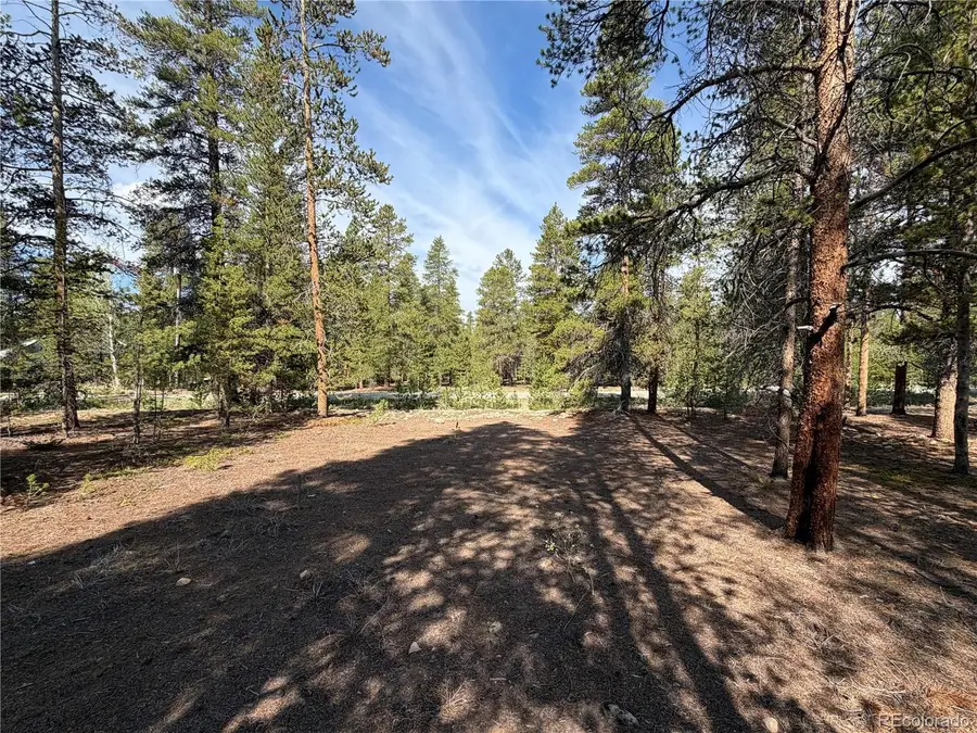 1796 Autumn Drive, Leadville, CO 80461 - #3