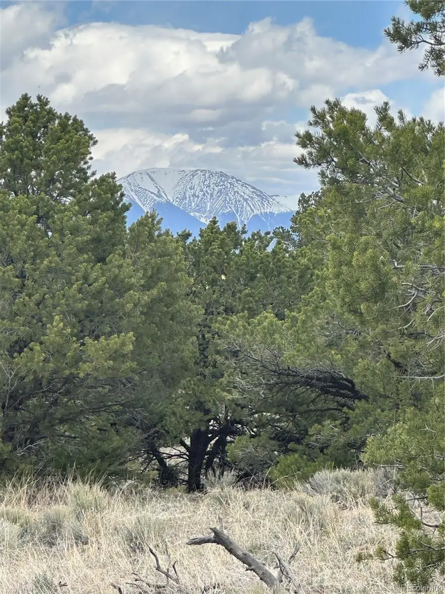 10 Mountain Springs Lane, Mosca, CO 81146 - #2