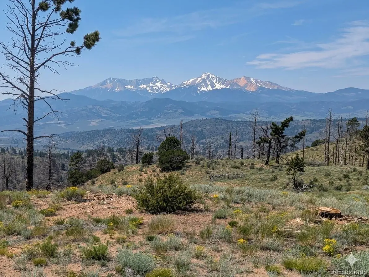 374-376 Soubry Place, Fort Garland, CO 81133 - #1