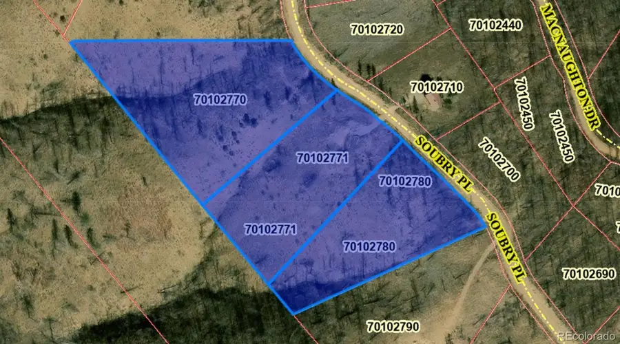 374-376 Soubry Place, Fort Garland, CO 81133 - #3