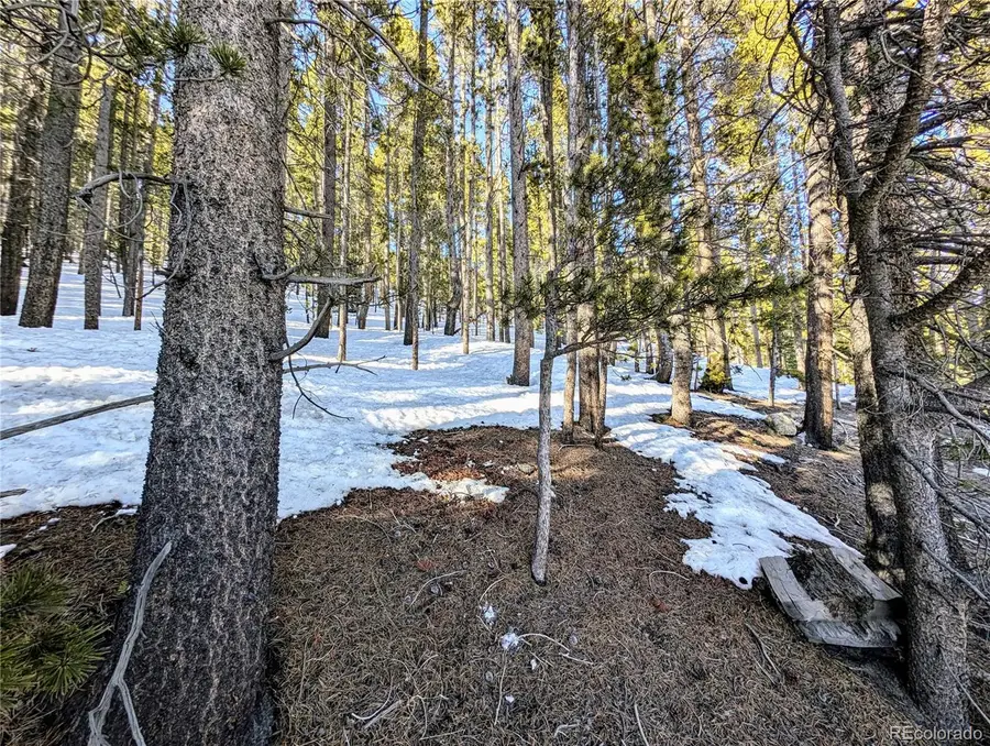 Lot 677 Alice Road, Saint Marys, CO 80453 - Image #2