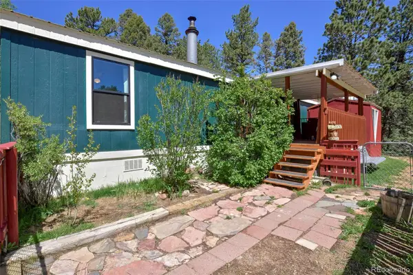 63 Star View Trail, Divide, CO 80814