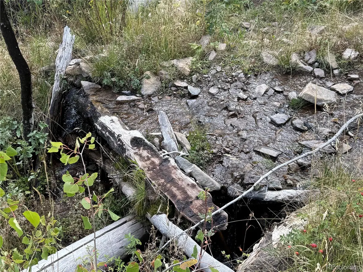 833 Huntington Lane, Fort Garland, CO 81133 - Image #1