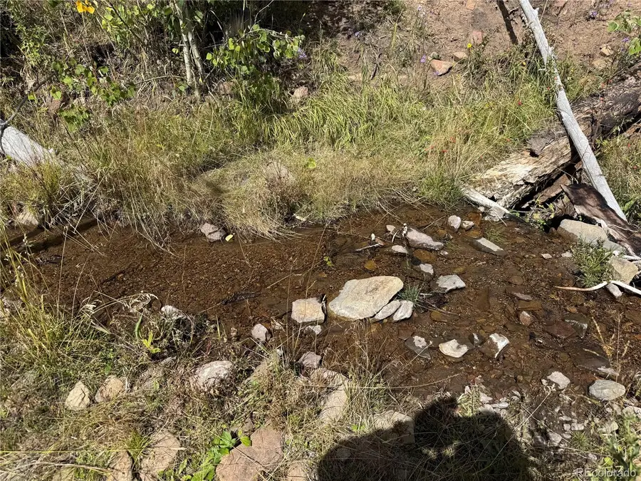 833 Huntington Lane, Fort Garland, CO 81133 - Image #2