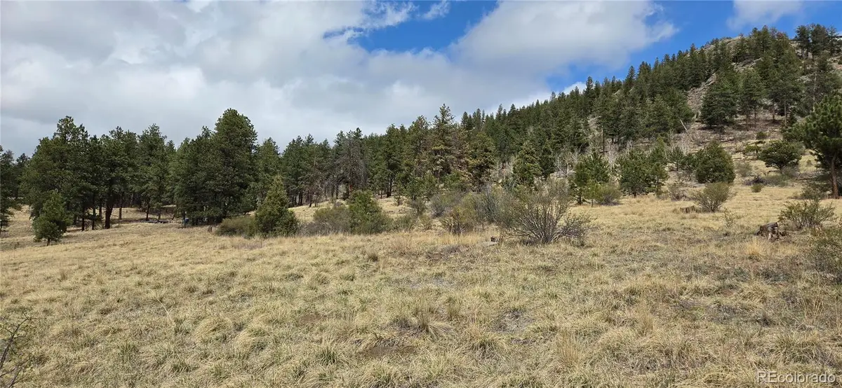62430 Us Highway 285, Bailey, CO 80421 - #1