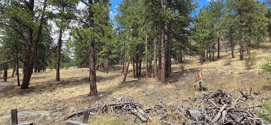 62430 Us Highway 285, Bailey, CO 80421 - #2