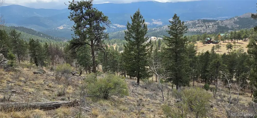 62430 Us Highway 285, Bailey, CO 80421 - #3