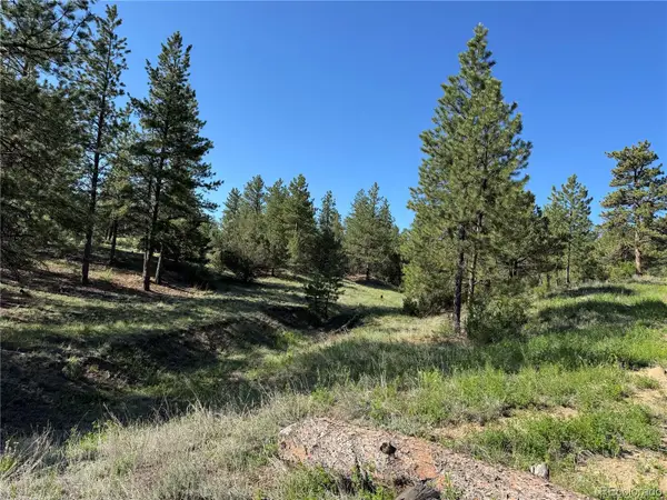 69 Coyote Run Road, Cotopaxi, CO 81223