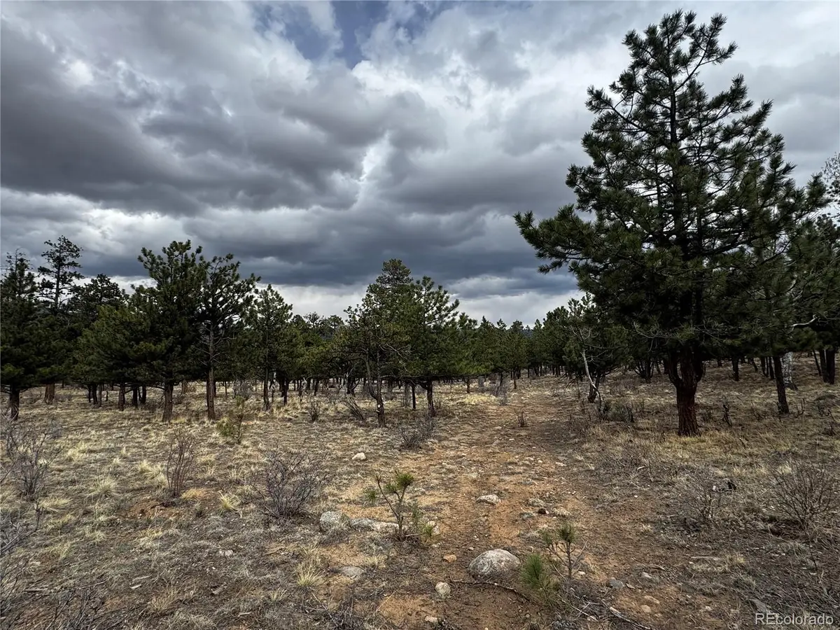 30583 Timberline Drive, Buena Vista, CO 81211 - #1