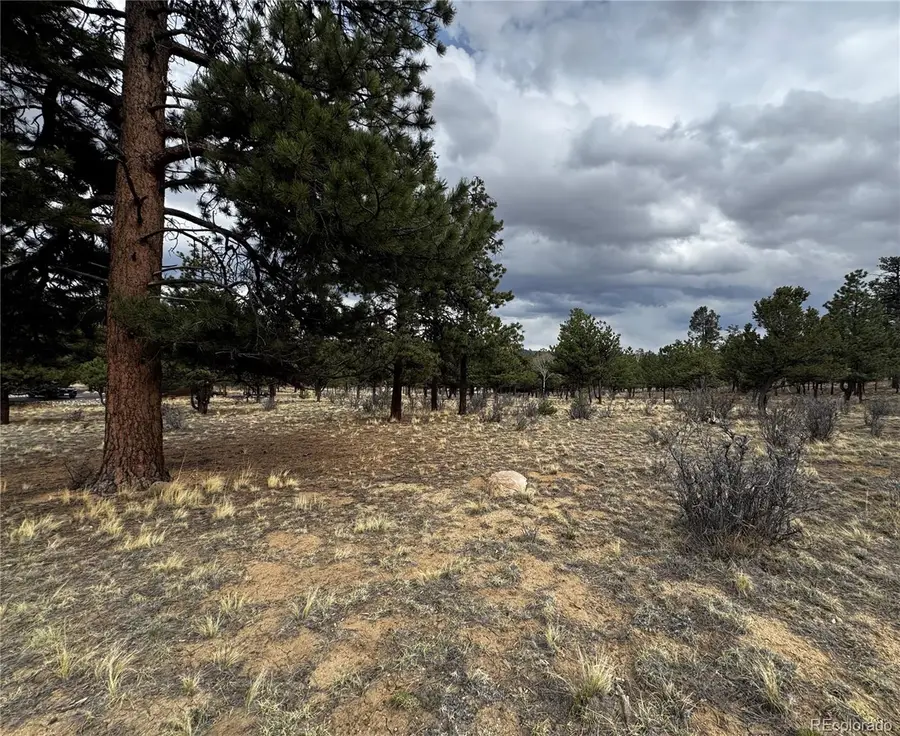 30583 Timberline Drive, Buena Vista, CO 81211 - #2