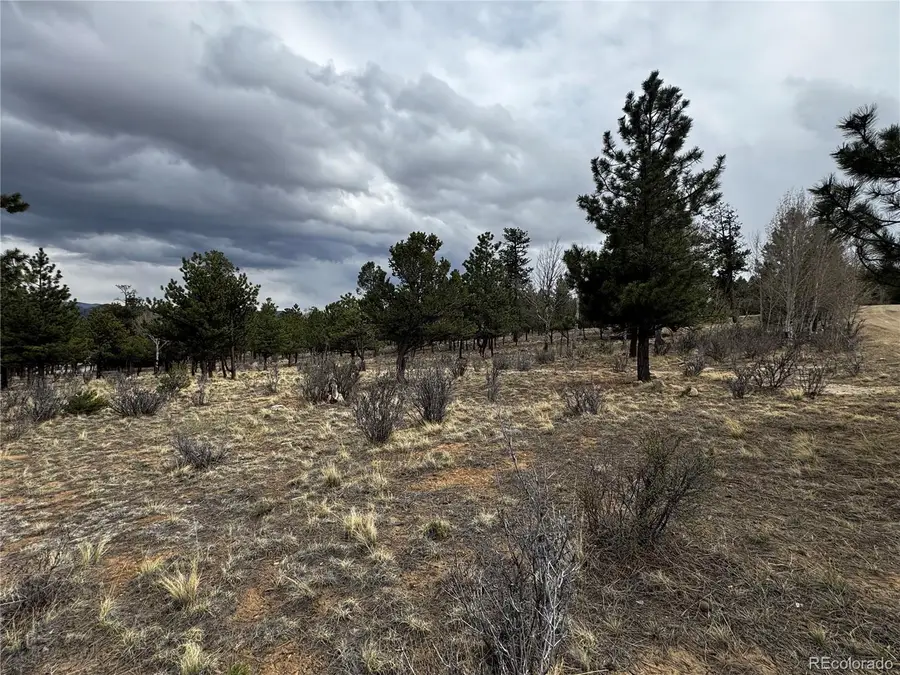 30583 Timberline Drive, Buena Vista, CO 81211 - #3