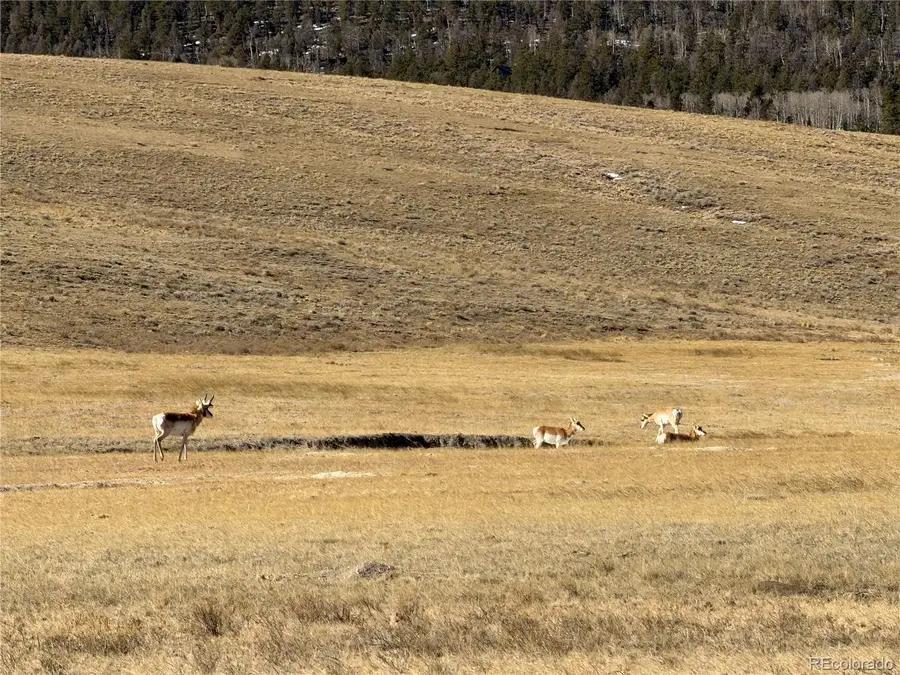 3 Ranch, Hartsel, CO 80449 - #3