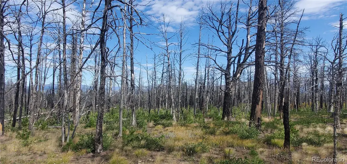 2298 Sigler Drive, Fort Garland, CO 81133 - #1