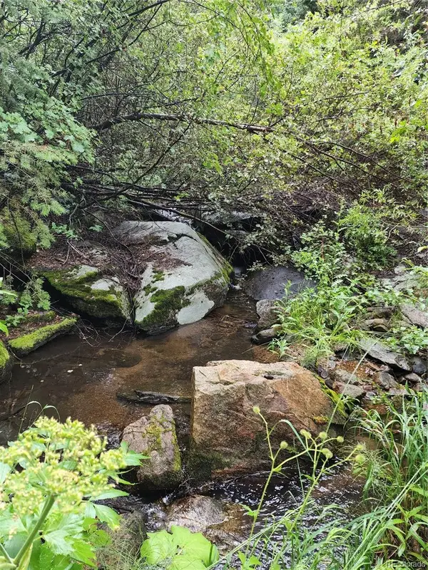 31429 Burke Road, Golden, CO 80403