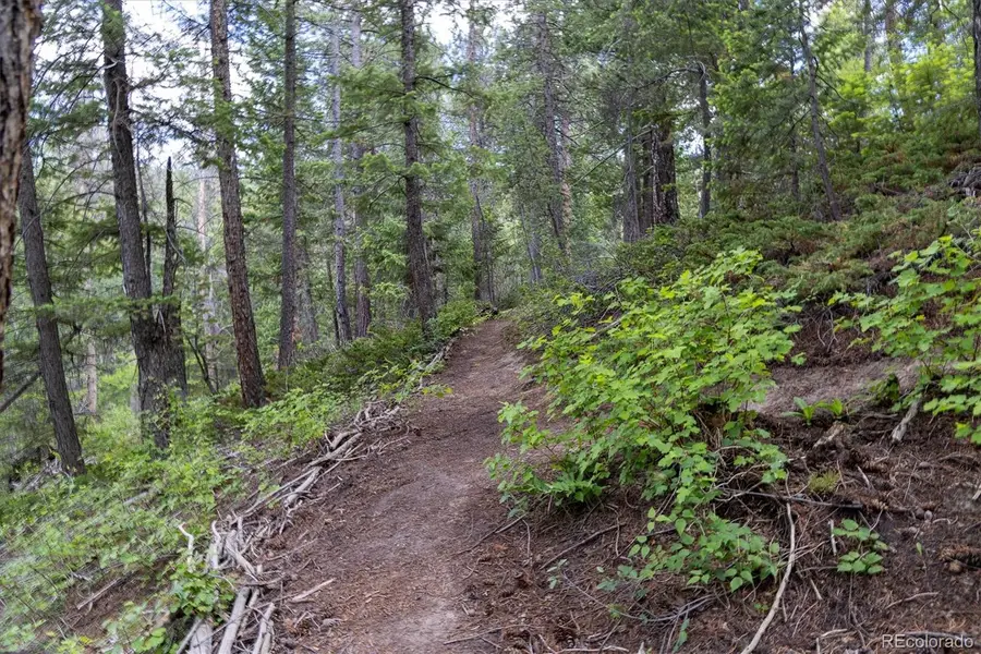 31429 Burke Road, Golden, CO 80403 - #2