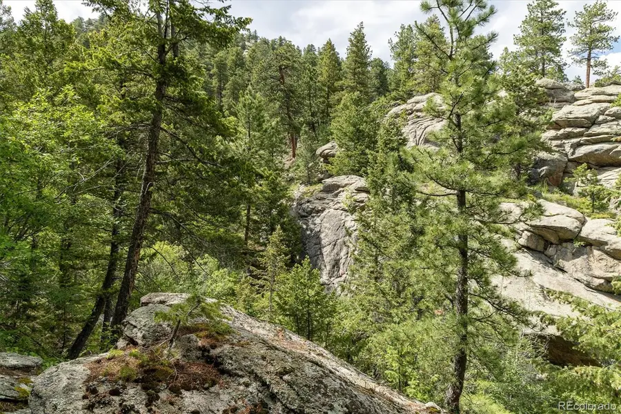 31429 Burke Road, Golden, CO 80403 - #3