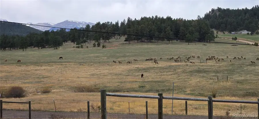 5981 Bluebell Lane, Evergreen, CO 80439 - #2