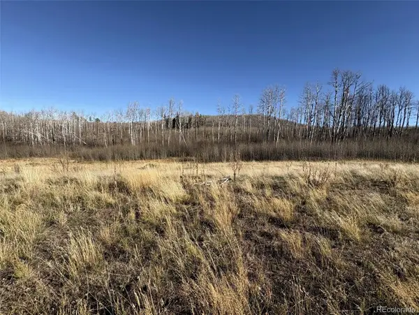 1654 Cary Lane, Fort Garland, CO 81133