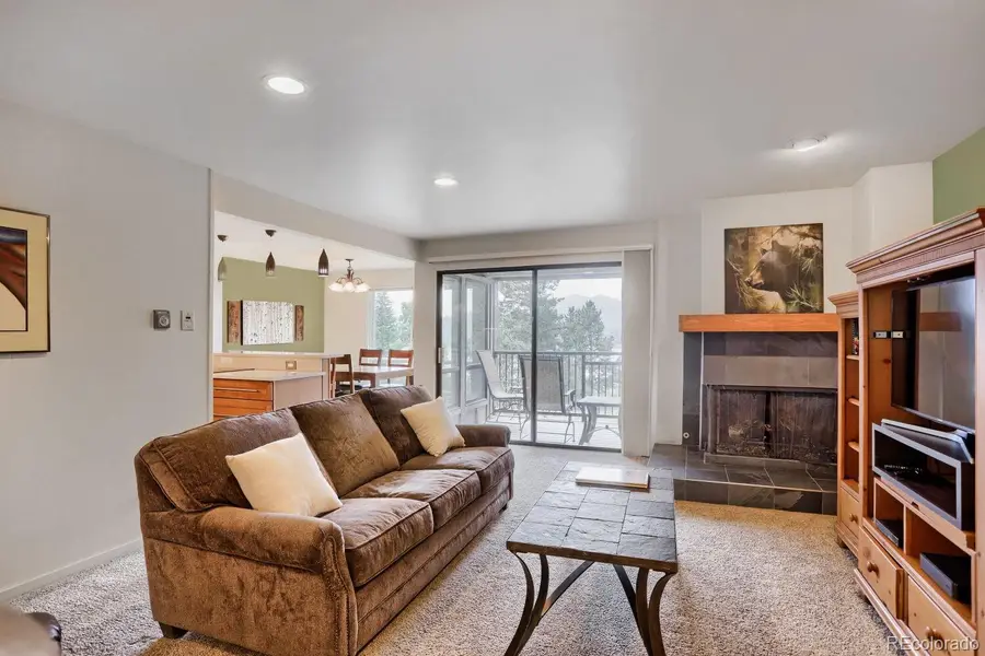 160 E La Bonte #201, Dillon, CO 80435 - #3