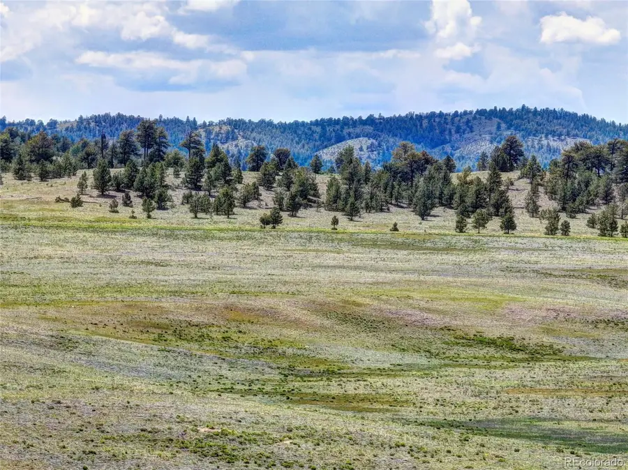 3360 Cahokia Road, Hartsel, CO 80449 - Image #3