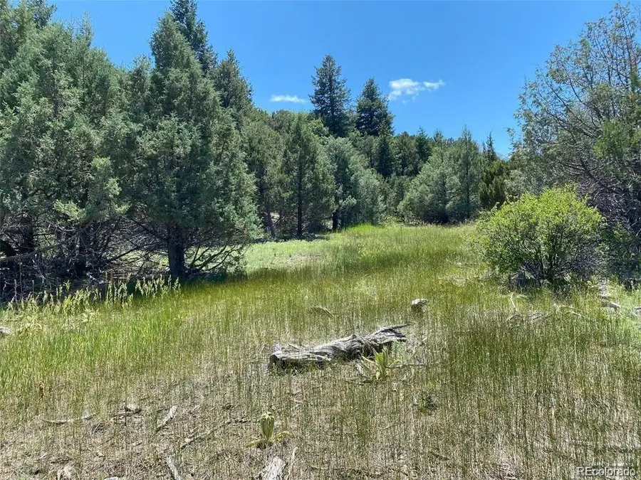 779 County Road 48, Howard, CO 81233 - Image #3