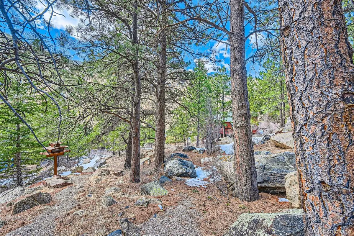 Skyline Road, Georgetown, CO 80444 - #1