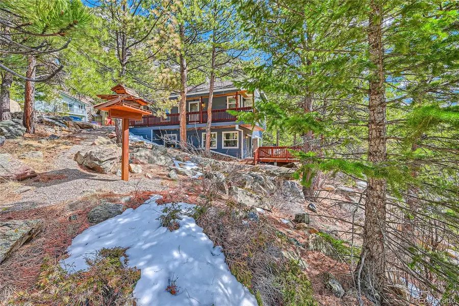 Skyline Road, Georgetown, CO 80444 - #3