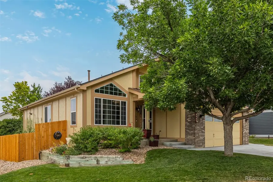 8463 Bed Straw Street, Parker, CO 80134 - #3