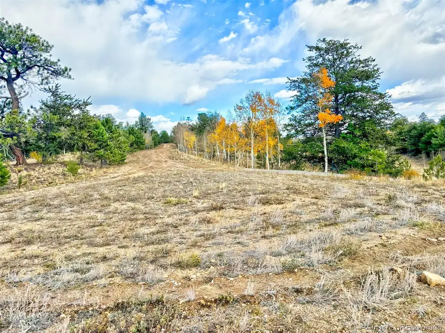 115 Black Canyon Court, Hartsel, CO 80449 - Image #3