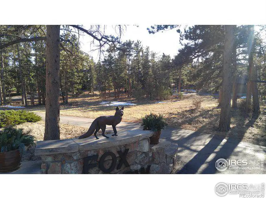 0 Fox Acres Drive E, Red Feather Lakes, CO 80545 - Image #3