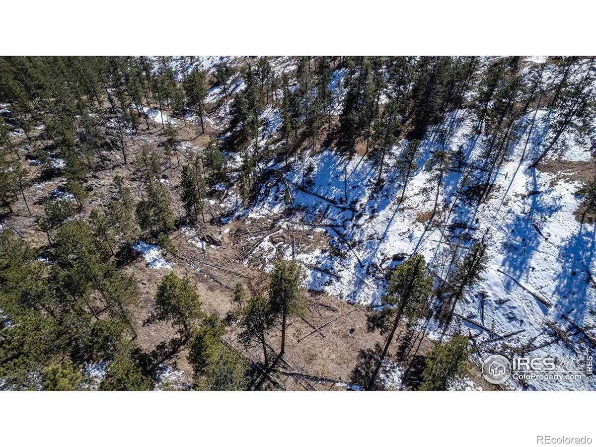 0 Tbd Stratton Park Rd Lot 3, Bellvue, CO 80512 - #1