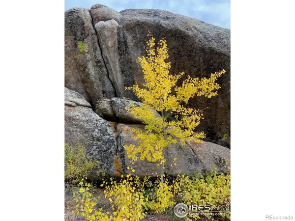 0 Northwoods Drive, Red Feather Lakes, CO 80545