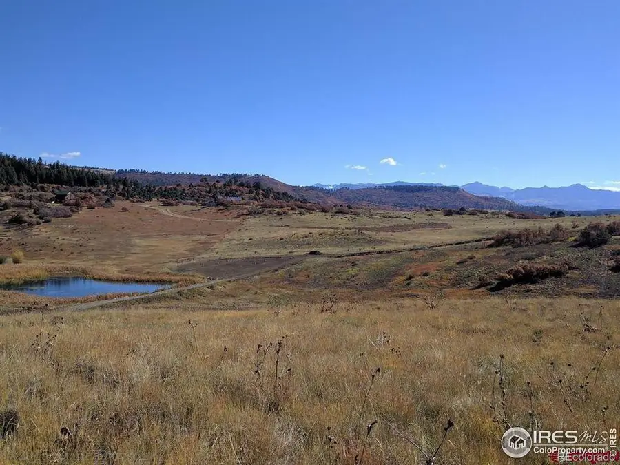 919 Roush Drive, Pagosa Springs, CO 81147 - Image #2