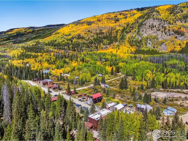 25850 County Road 162 Road, St Elmo, CO 81236