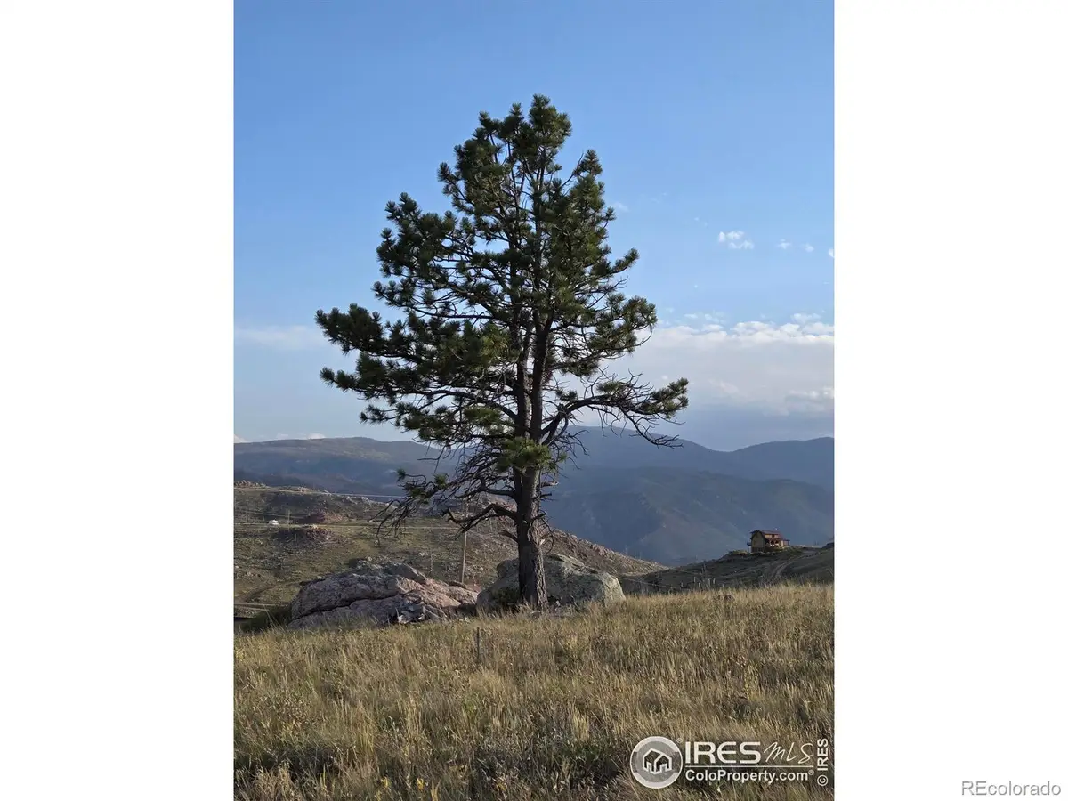 443 Meadow Mountain Drive, Livermore, CO 80536 - Image #1