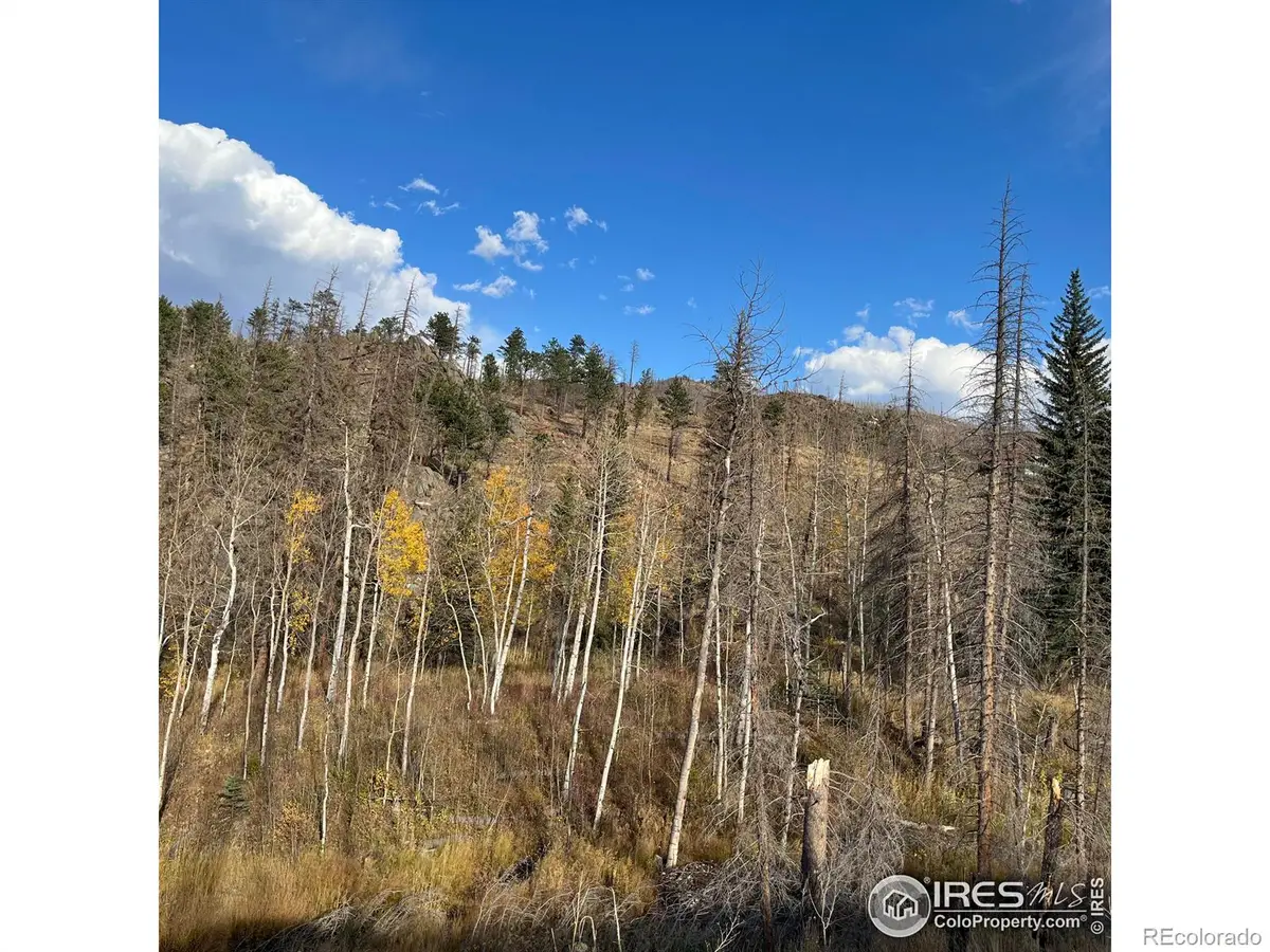 11 Monument Gulch Way, Bellvue, CO 80512 - #1