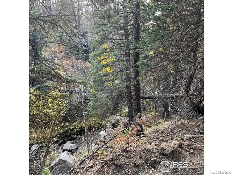 11 Monument Gulch Way, Bellvue, CO 80512 - #3