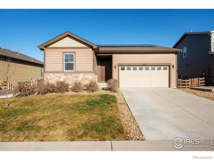 1604 Sorenson Drive, Windsor, CO 80550 - #3