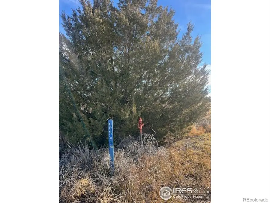 4820 County Rd H, Wiggins, CO 80654 - Image #3