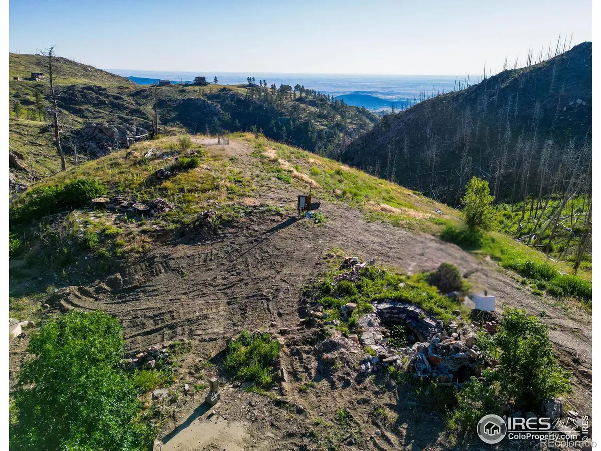 100 Canyon Gulch Road, Bellvue, CO 80512 - #1