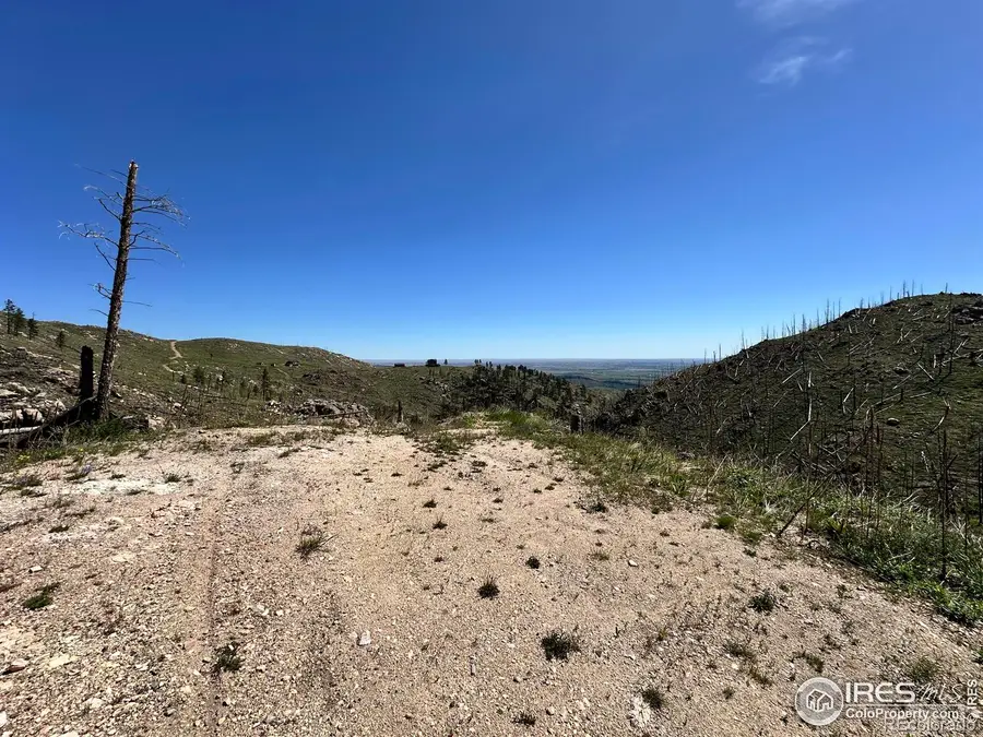 100 Canyon Gulch Road, Bellvue, CO 80512 - #3