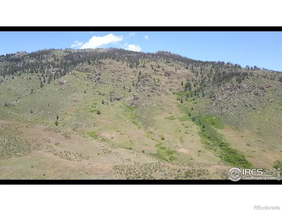 14750 Buckhorn Road, Loveland, CO 80538 - Image #3