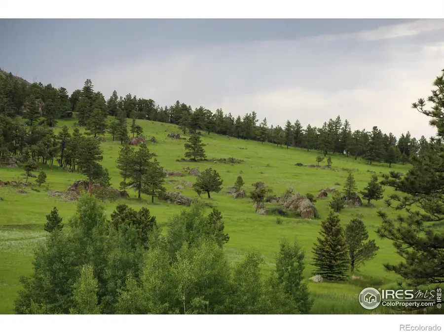 0 Old Flowers Road, Bellvue, CO 80512 - Image #2