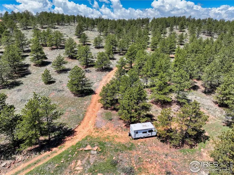 101 Lewis Lane, Longmont, CO 80503 - Image #3