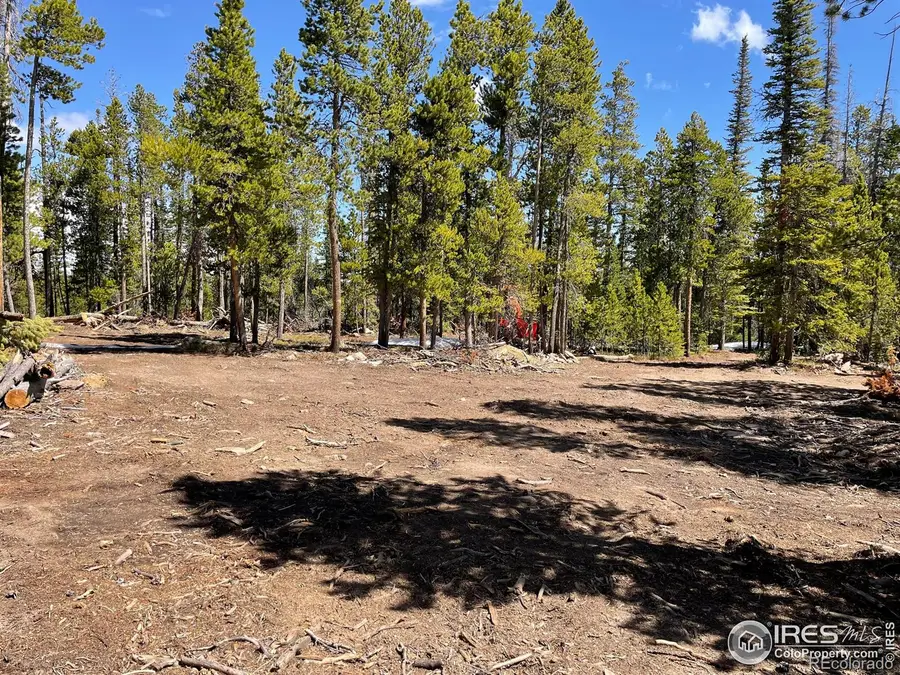 0 Forest Service 169 Road #Parcel 3, Red Feather Lakes, CO 80545 - Image #3